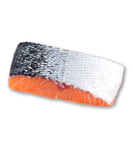 Salmón Camanchaca Premium a granel