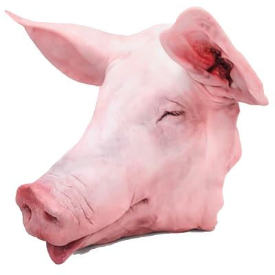 Cabeza de cerdo