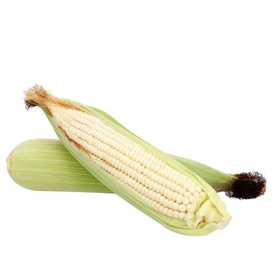 Elote blanco