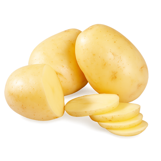 Papa Blanca